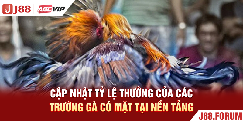Đá Gà Mạng J88 - Xem Trực Tiếp Và Tham Gia Đặt Cược Uy Tín Cập nhật tỷ lệ thưởng của các trường gà có mặt tại nền tảng