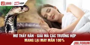 Mơ Thấy Rắn - Giải Mã Các Trường Hợp Mang Lại May Mắn 100%