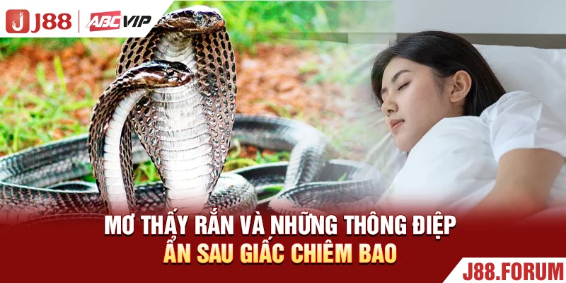 Mơ Thấy Rắn - Giải Mã Các Trường Hợp Mang Lại May Mắn 100% Mơ thấy rắn và những thông điệp ẩn sau giấc chiêm bao