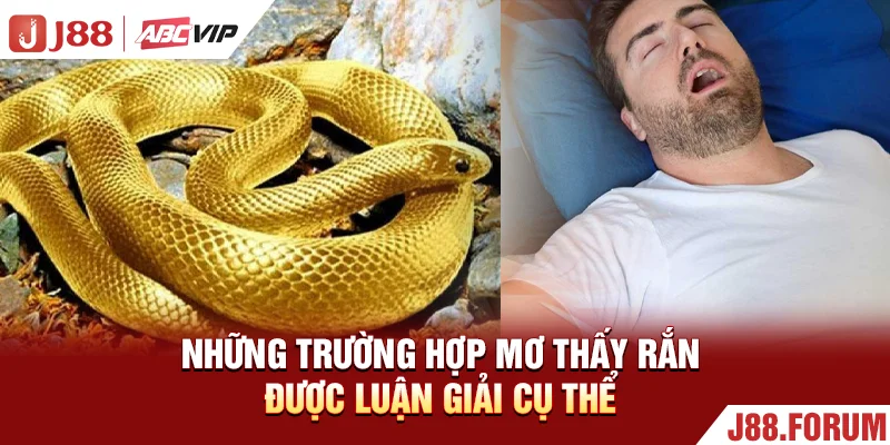 Mơ Thấy Rắn - Giải Mã Các Trường Hợp Mang Lại May Mắn 100% Những trường hợp mơ thấy rắn được luận giải cụ thể