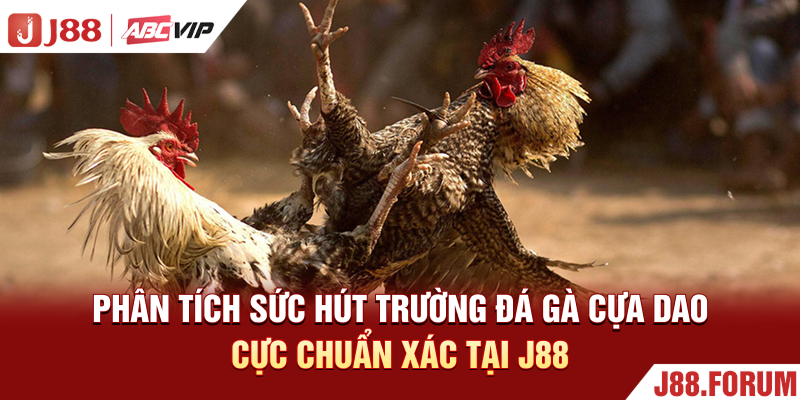 Đá Gà Cựa Dao - Trận Chiến Sinh Tử Gay Cấn Từng Giây Phút Phân tích sức hút trường đá gà cựa dao cực chuẩn xác tại J88